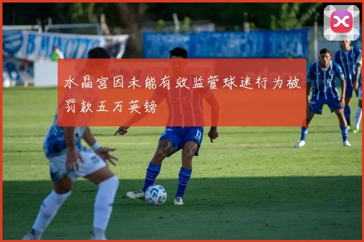 水晶宫因未能有效监管球迷行为被罚款五万英镑